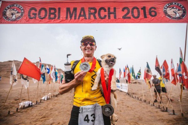 Meet The Marathon Dog, Gobi!